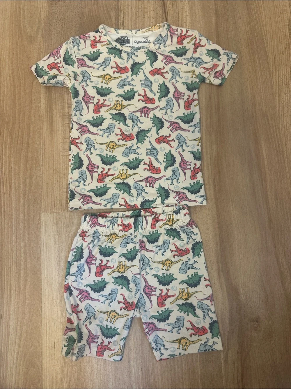 Copper Pearl Jurassic Park Kids Dinosaur Pajama Set - Multicolor Dino Print